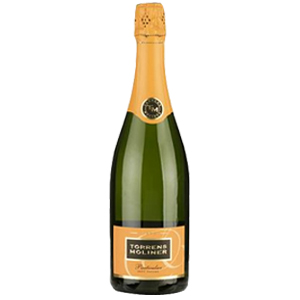 Torrens Moliner Reserva Particular